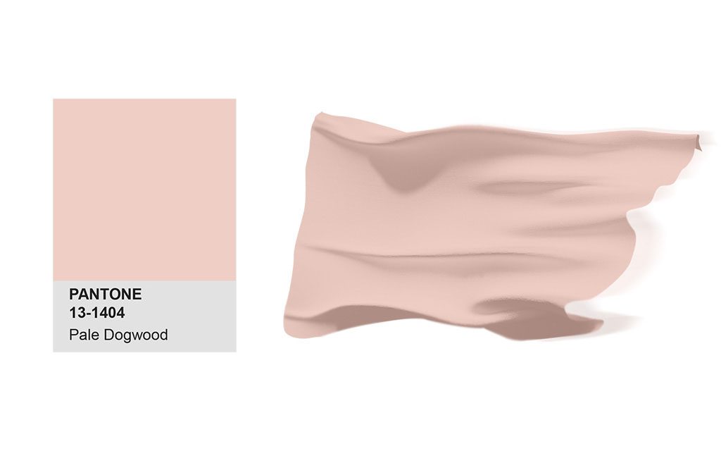 PANTONE 13-1404 Pale Dogwood 潔白茱萸
承續著平靜的心情,表面潔白的茱萸是一個安靜祥和的粉紅色光,特別產生了天真和純潔的光環。低調的潔白茱萸是一種微妙的粉紅色,其柔軟的觸感注入健康的光澤。